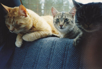 未来的日子，有你在身边。