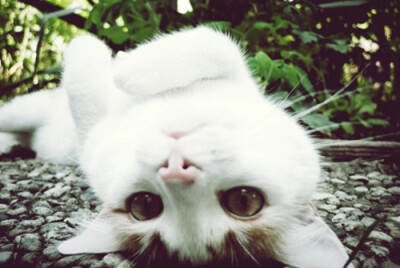 未来的日子，有你在身边。