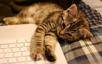 未来的日子，有你在身边。