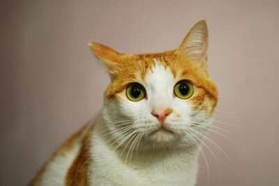 未来的日子，有你在身边。