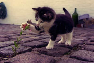 未来的日子，有你在身边。