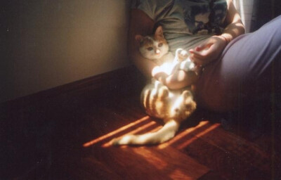 未来的日子，有你在身边。