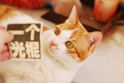 未来的日子，有你在身边。