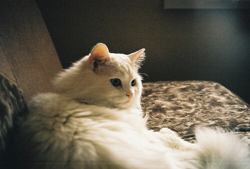 未来的日子，有你在身边。