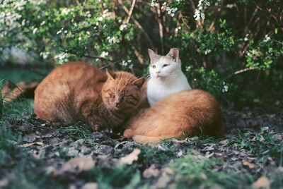 未来的日子，有你在身边。