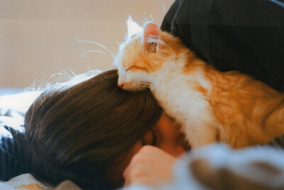 未来的日子，有你在身边。