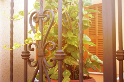 如画的风景，风景如画的生活~~