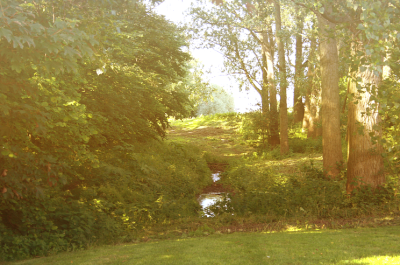 如画的风景，风景如画的生活~~