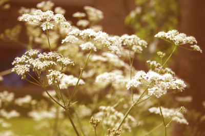 如画的风景，风景如画的生活~~