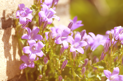 如画的风景，风景如画的生活~~