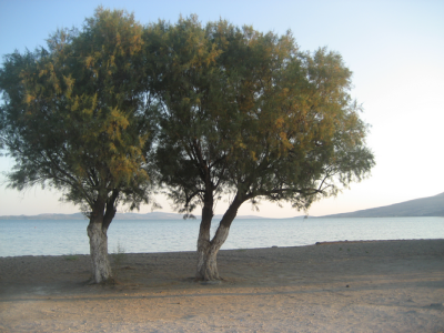 如画的风景，风景如画的生活~~