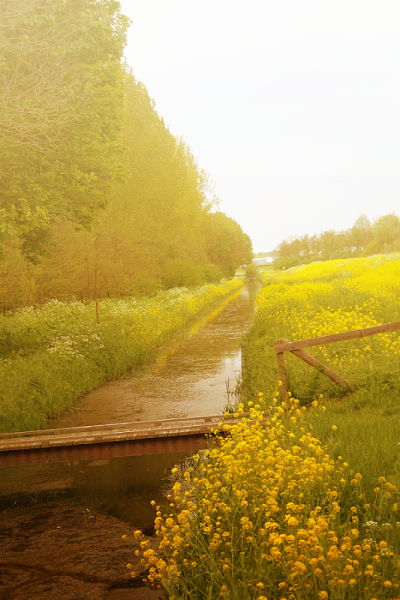 如画的风景，风景如画的生活~~