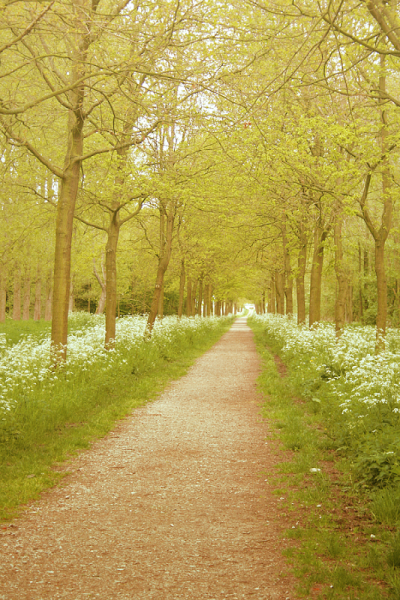 如画的风景，风景如画的生活~~