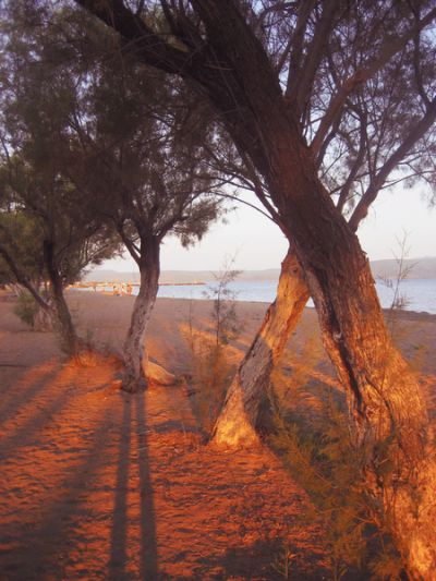 如画的风景，风景如画的生活~~