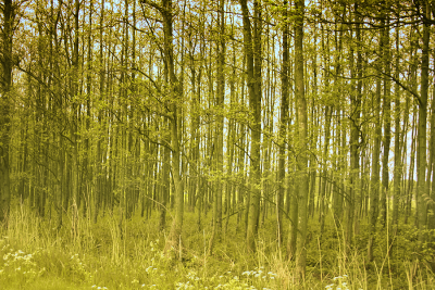 如画的风景，风景如画的生活~~