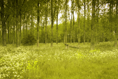 如画的风景，风景如画的生活~~