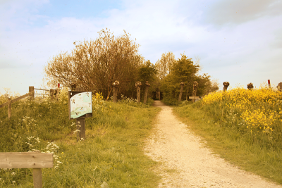如画的风景，风景如画的生活~~