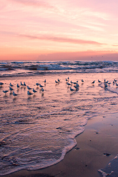 面朝大海 春暖花开,海,唯美意境,海滩沙滩