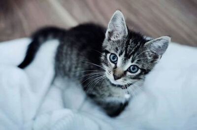 你会陪我多久。