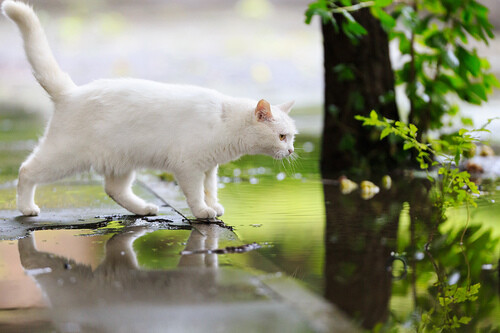 那年雨后