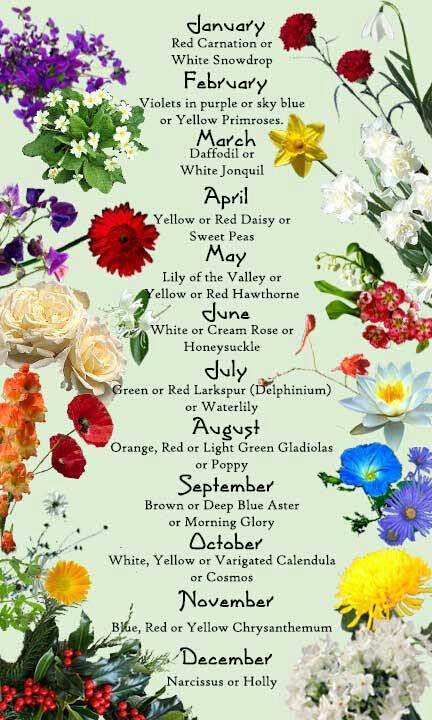 Flower Calendar