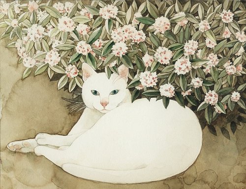 东京插画师山田绿的猫咪插画