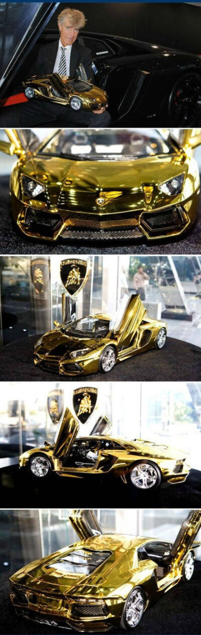 $7.3 Million Gold Lamborghini Aventador ——绝对的大金牛?。。?！