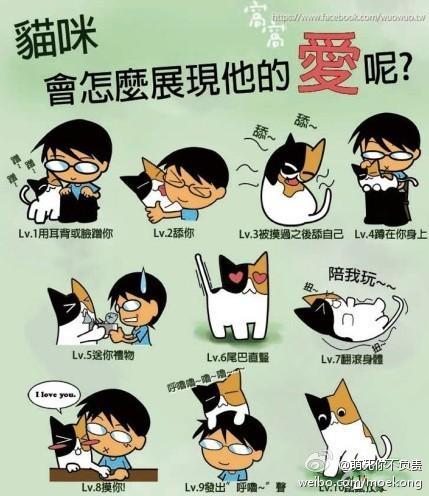 猫咪表达爱的方式……（求别送礼物）【拖~】