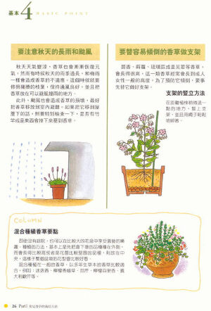 薰衣草、牛至、洋甘菊、罗勒、百里香、薄荷、迷迭香等栽培方法 - 药用与香草植物