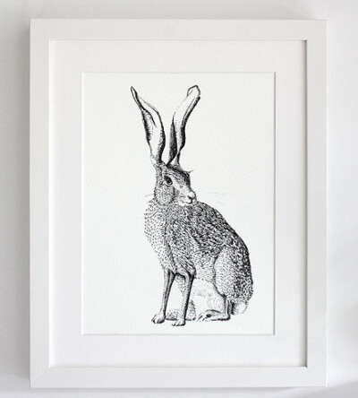 Hare Framed Print