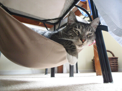 猫咪的最爱 节省空间的猫吊床 猫窝 猫垫 猫床 猫吊床