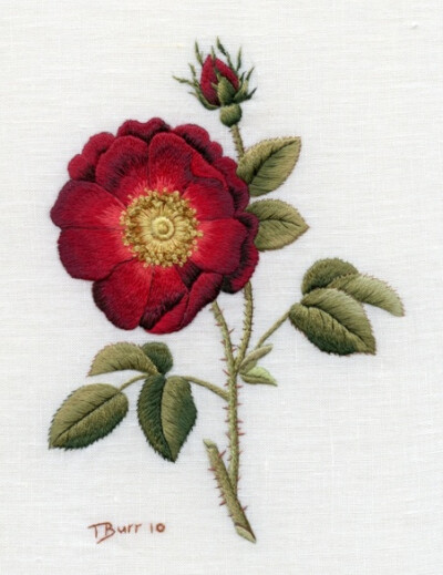 Etsy Shop | Trish Burr Embroidery