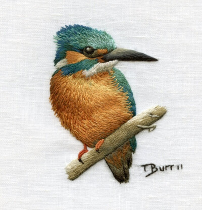 Kingfisher, embroidery pattern, digital download from Trish Burr on Etsy