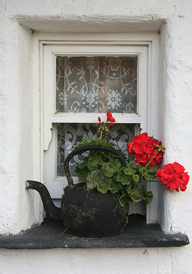 (via "COTTAGE WINDOW" by Sean Farragher | Redbubble)