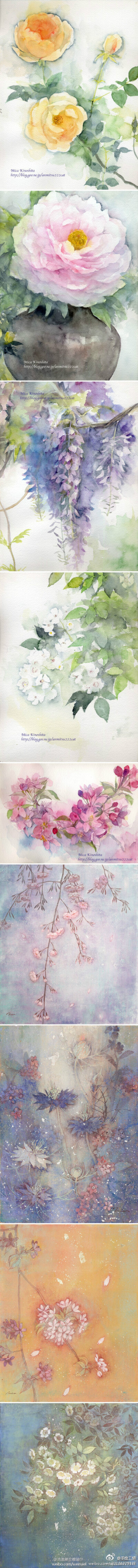 日本水彩画家木下美香，喜欢猫咪和养花。她的花卉日志中除了唯美的水彩作品，还有附有花卉的介绍和花语。