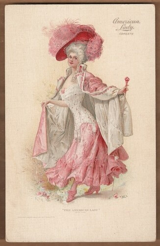 Lady Wearing Lovely Pink Corset