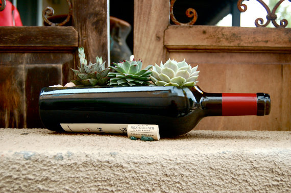 Wine Bottle Garden Planters // Succulent or Air Plant