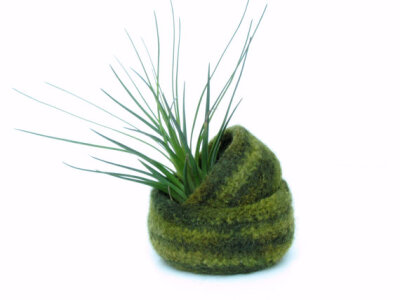 Green felted bowl / Two nesting bowls in fall forrest green / Cozy gift Air plant holder - home decor