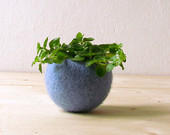 Felt succulent planter / felted bowl / Succulent pod / light blue / winter decor