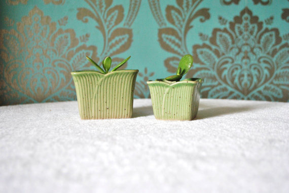 Beautiful pair green tulip style pots with lucky jade plant small lucky gift