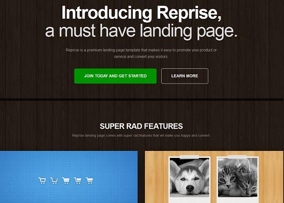 landing page(登陆页)设计http://demo.themechills.com/reprise/#