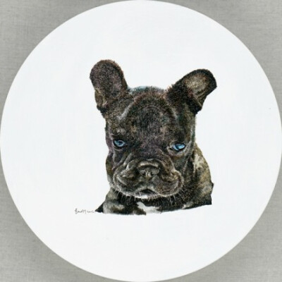 Cool Dog Φ40cm acrylic ink on canvas，北京设计师zhao na作品