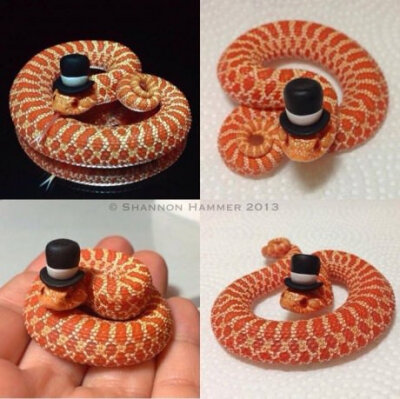 Little snake with a little hat!