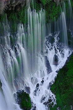 水帘垂绿屏，轻纱盖翠景。