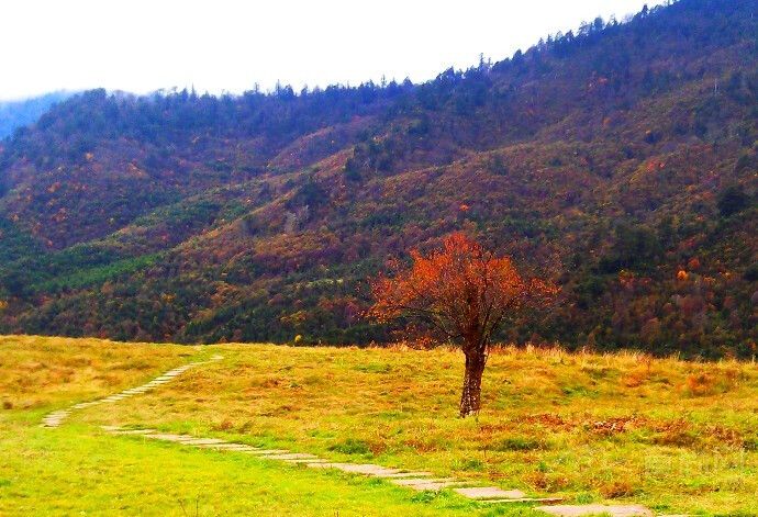 成都周边看风景的好去处