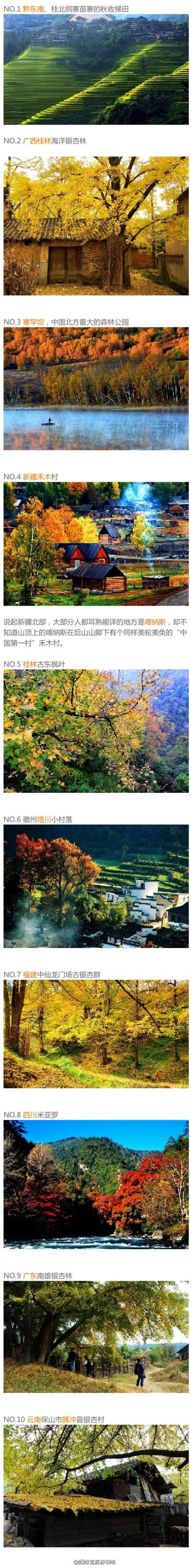 【10个适合情侣旅行的小众景点】1.黔东南、桂北侗寨苗寨的秋收梯田 2.广西桂林海洋银杏林 3.塞罕坝 4.新疆禾木村 5.桂林古东枫叶 6.徽州塔川 7.福建中仙龙门场古银杏群 8.四川米亚罗 9.广东南雄银杏林 10.云南保山市…