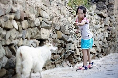 《爸爸去哪儿》考验面食功力 田亮女儿变牧羊女