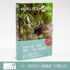 一生一信明信片图书馆《闯入二次元的喵星人》30张入 动物绘本书