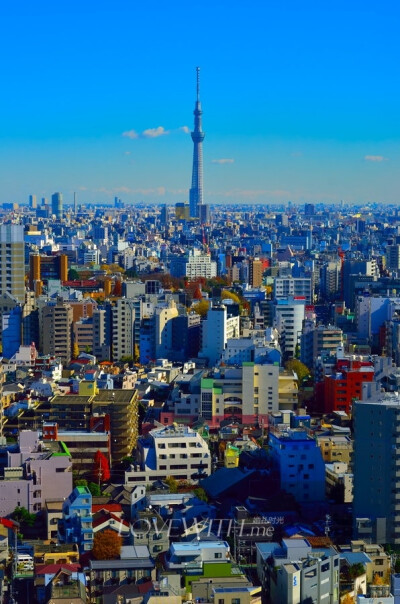 如果你认为已经把国内都玩了个遍，那么可以转道去东京（Tokyo）旅游。东京的景点主要集中在几个片区：东京火车站皇宫及银座构成的市中心、上野和浅草一带、新宿涩谷原宿和青山结合的片区、港区的赤坂六本木和台场。…