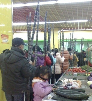 据说是某超市甘蔗促销，怎么看感觉像丐帮大会呢？
